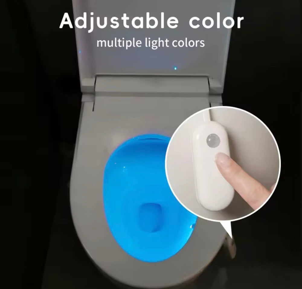 Smart Motion Sensor Toilet Light
