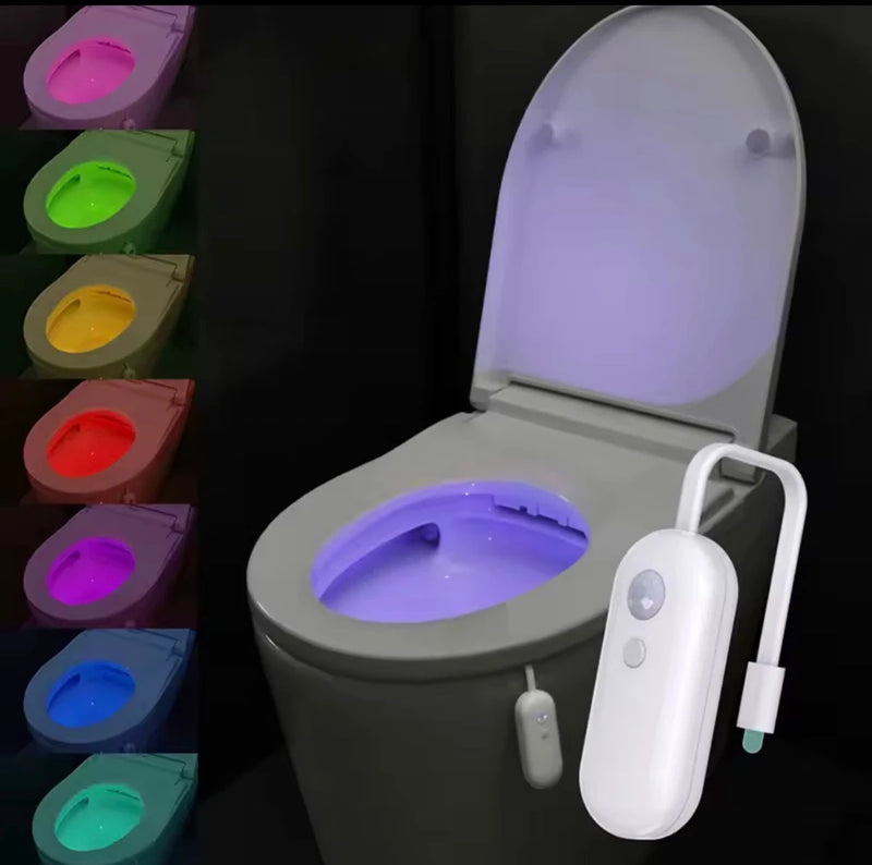 Smart Motion Sensor Toilet Light